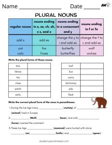 irregular nouns worksheet