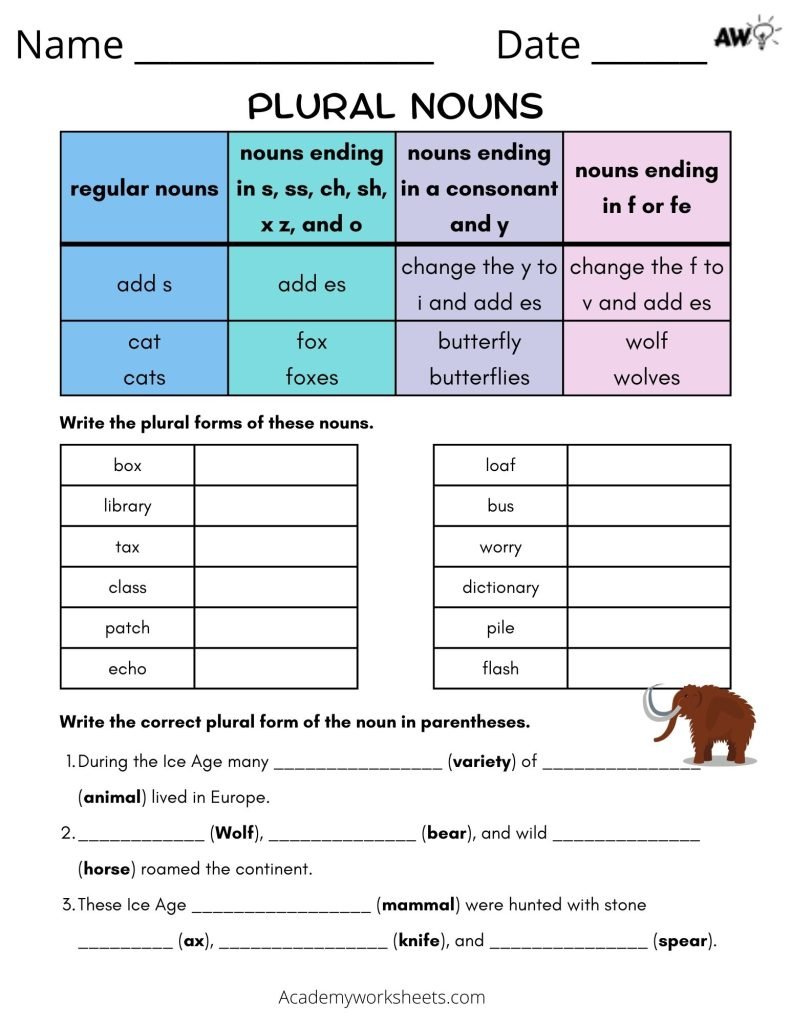 irregular nouns worksheet